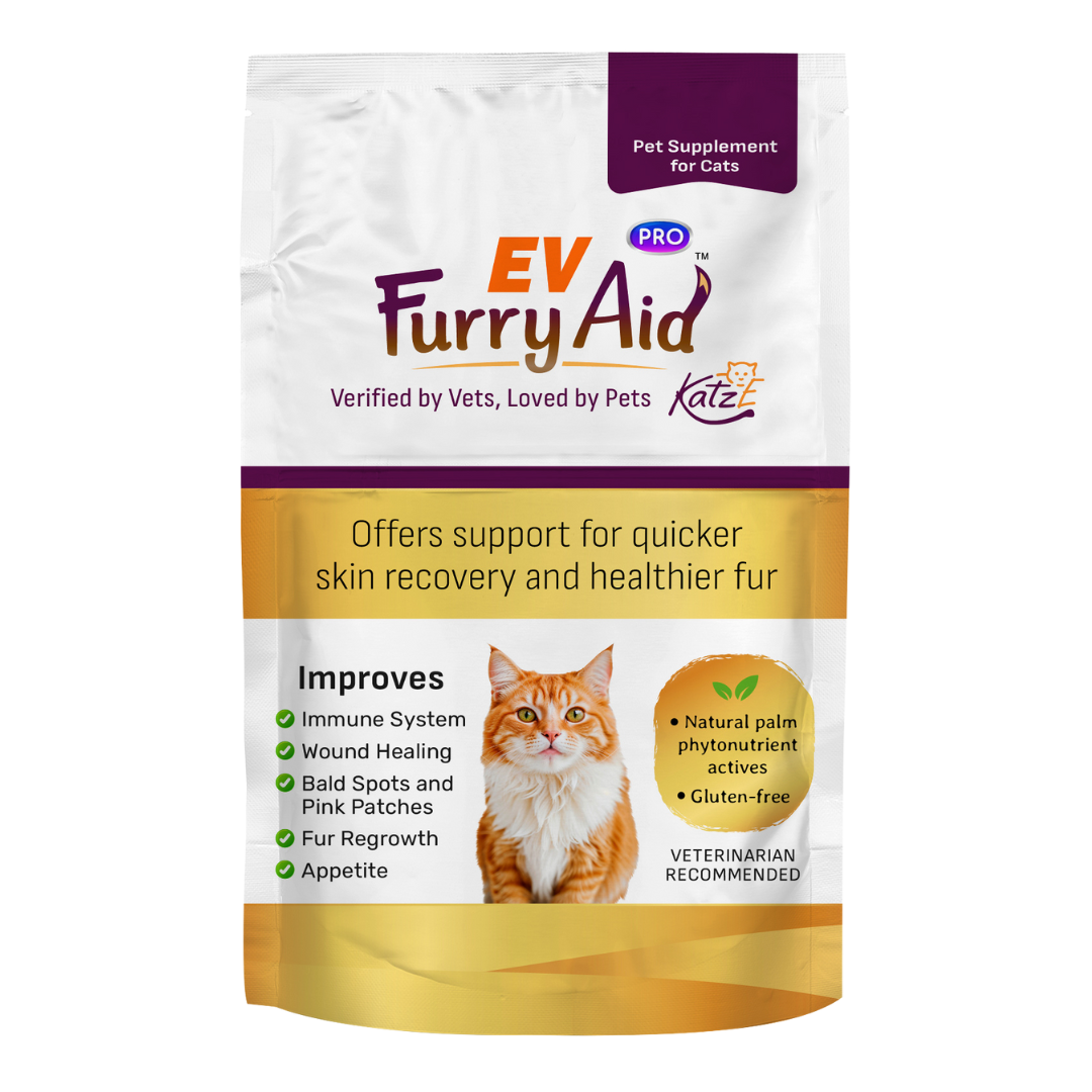 Product Packaging